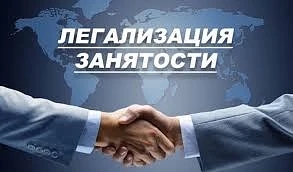  ЛЕГАЛИЗАЦИЯ ЗАНЯТОСТИ