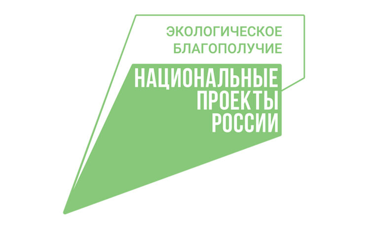 Специалисты лесничеств призывают не допустить лесных пожаров